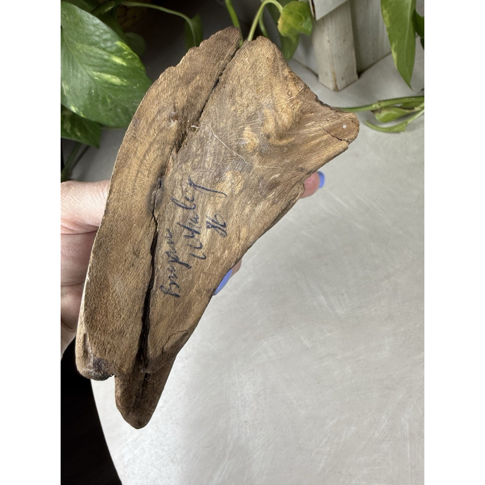 Vtg Hand Carved Wood Bird Sculpture Driftwood Base Signed Bryan Whaley Folk Art - Picture 11 of 11